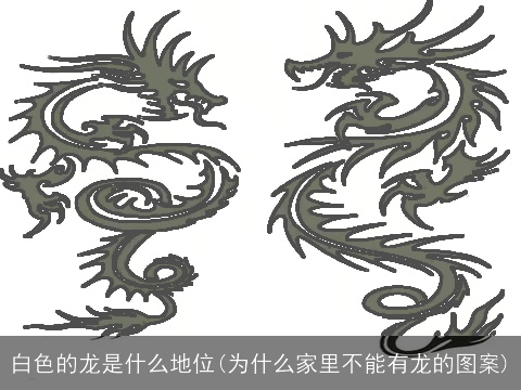 白色的龙是什么地位(为什么家里不能有龙的图案)