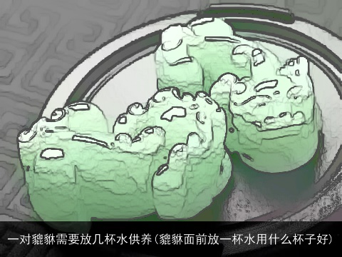 一对貔貅需要放几杯水供养(貔貅面前放一杯水用什么杯子好)