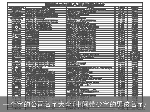 一个字的公司名字大全(中间带少字的男孩名字)