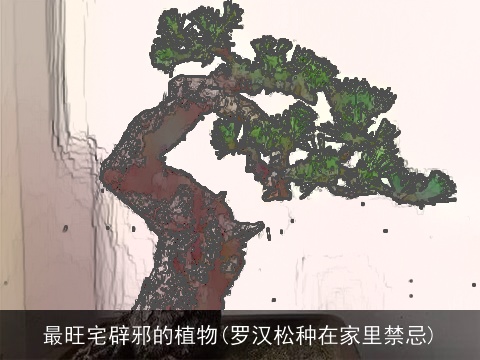 最旺宅辟邪的植物(罗汉松种在家里禁忌)