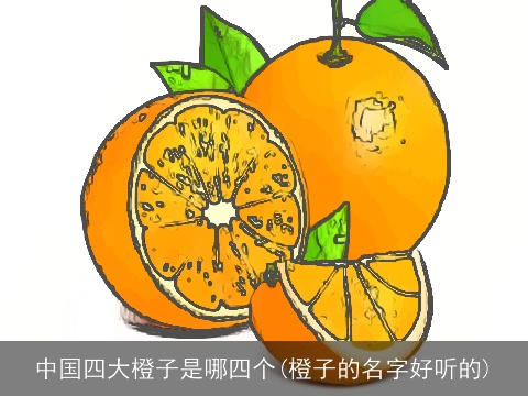 中国四大橙子是哪四个(橙子的名字好听的)
