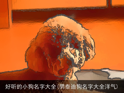 好听的小狗名字大全(男泰迪狗名字大全洋气)
