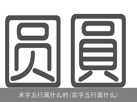 禾字五行属什么的(宸字五行属什么)