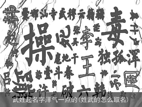 武姓起名字洋气一点的(姓武的怎么取名)