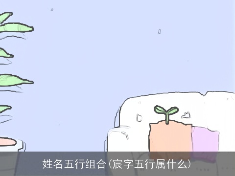 姓名五行组合(宸字五行属什么)