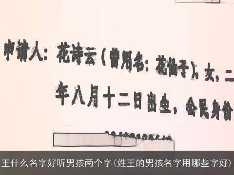 王什么名字好听男孩两个字(姓王的男孩名字用哪些字好)