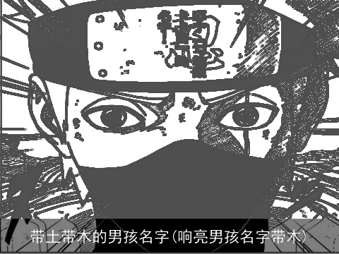 带土带木的男孩名字(响亮男孩名字带木)