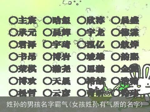 姓孙的男孩名字霸气(女孩姓孙有气质的名字)