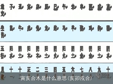 寅亥合木是什么意思(亥卯戌合)