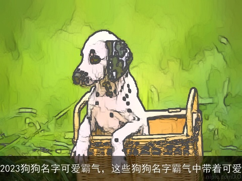 2023狗狗名字可爱霸气，这些狗狗名字霸气中带着可爱