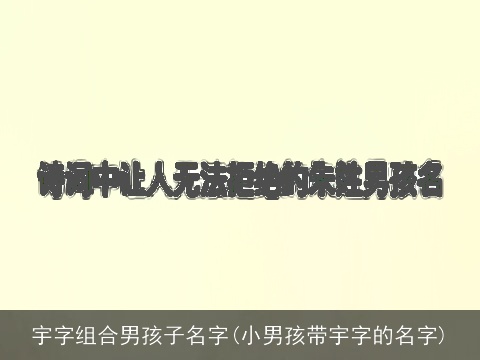 宇字组合男孩子名字(小男孩带宇字的名字)