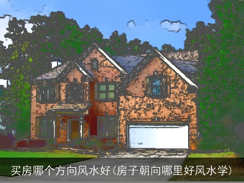 买房哪个方向风水好(房子朝向哪里好风水学)