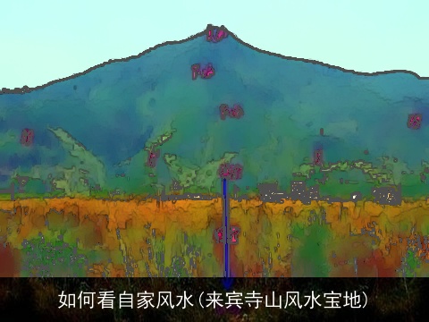 如何看自家风水(来宾寺山风水宝地)