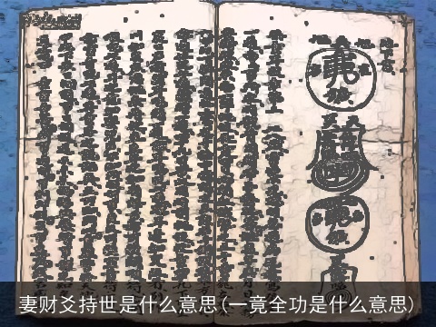 妻财爻持世是什么意思(一竟全功是什么意思)