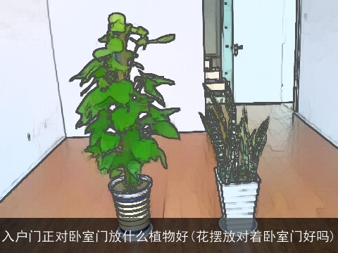 入户门正对卧室门放什么植物好(花摆放对着卧室门好吗)