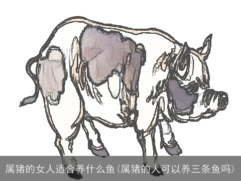 属猪的女人适合养什么鱼(属猪的人可以养三条鱼吗)
