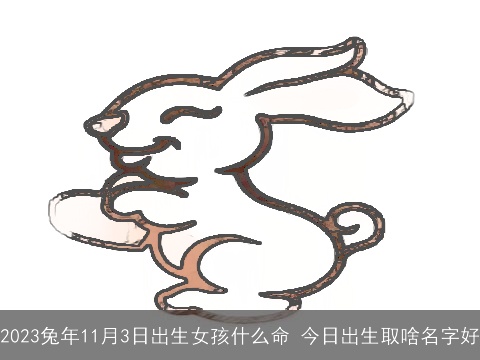2023兔年11月3日出生女孩什么命 今日出生取啥名字好