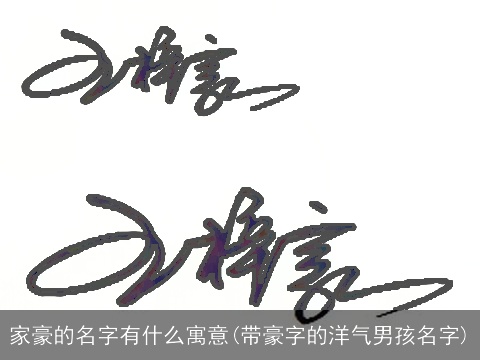 家豪的名字有什么寓意(带豪字的洋气男孩名字)