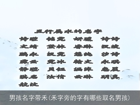 男孩名字带禾(禾字旁的字有哪些取名男孩)