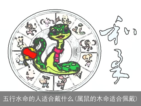 五行水命的人适合戴什么(属鼠的木命适合佩戴)