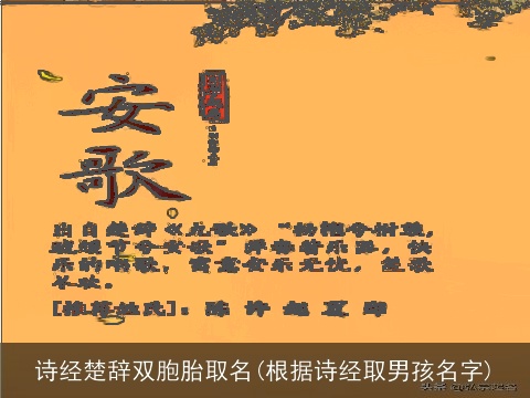 诗经楚辞双胞胎取名(根据诗经取男孩名字)