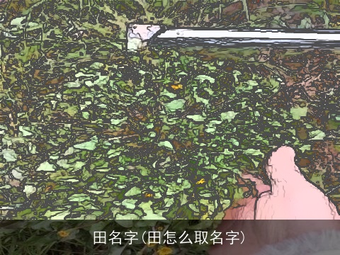田名字(田怎么取名字)