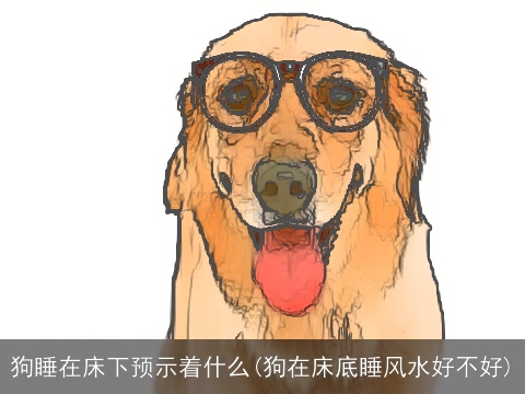 狗睡在床下预示着什么(狗在床底睡风水好不好)