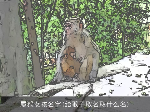 属猴女孩名字(给猴子取名取什么名)