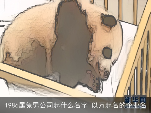 1986属兔男公司起什么名字 以万起名的企业名