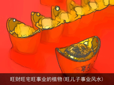 旺财旺宅旺事业的植物(旺儿子事业风水)