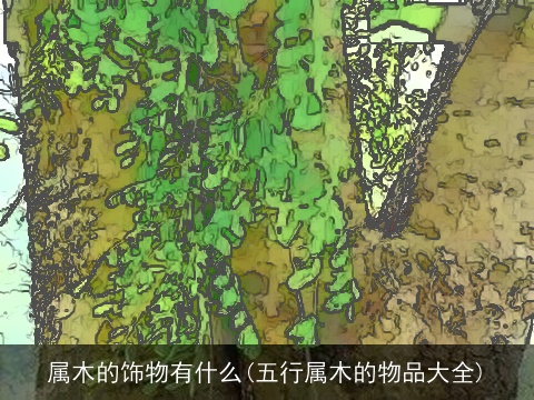属木的饰物有什么(五行属木的物品大全)