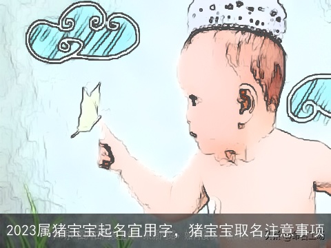 2023属猪宝宝起名宜用字，猪宝宝取名注意事项