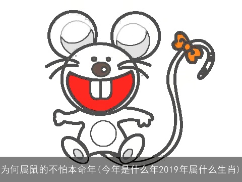 为何属鼠的不怕本命年(今年是什么年2019年属什么生肖)