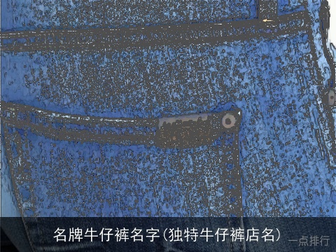 名牌牛仔裤名字(独特牛仔裤店名)