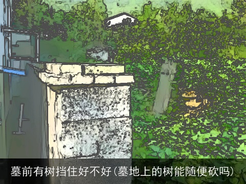 墓前有树挡住好不好(墓地上的树能随便砍吗)