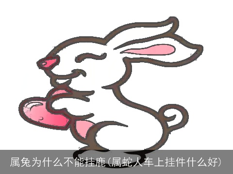 属兔为什么不能挂鹿(属蛇人车上挂件什么好)