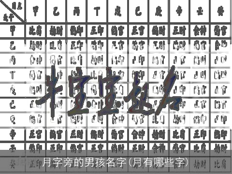 月字旁的男孩名字(月有哪些字)