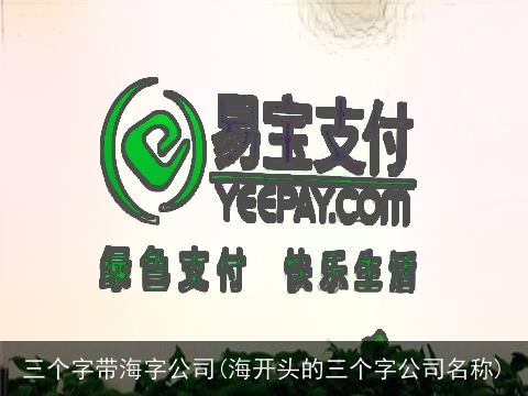 三个字带海字公司(海开头的三个字公司名称)