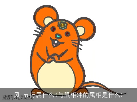 风 五行属什么(与鼠相冲的属相是什么)