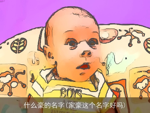 什么豪的名字(家豪这个名字好吗)