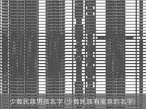 少数民族男孩名字(少数民族有寓意的名字)