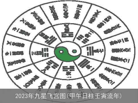 2023年九星飞宫图(甲午日柱壬寅流年)