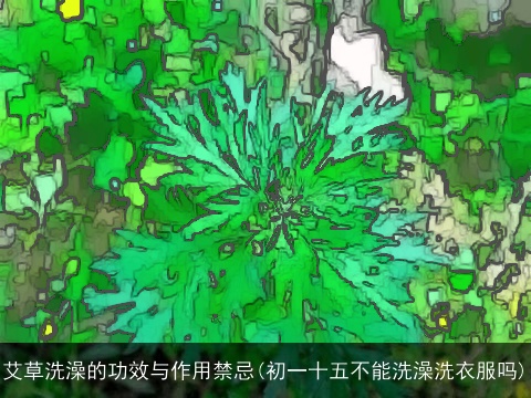 艾草洗澡的功效与作用禁忌(初一十五不能洗澡洗衣服吗)