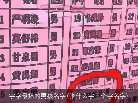 宇字最搭的男孩名字(张什么宇三个字名字)