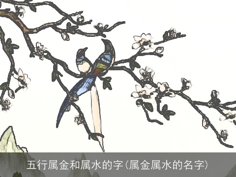 五行属金和属水的字(属金属水的名字)