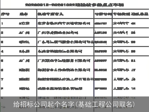 给招标公司起个名字(基础工程公司取名)