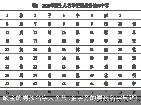 缺金的男孩名字大全集(金字旁的男孩名字属猪)