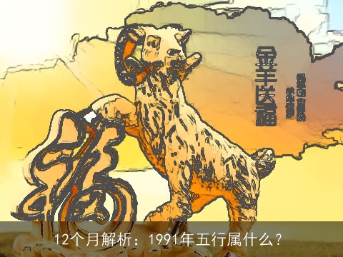 12个月解析：1991年五行属什么？