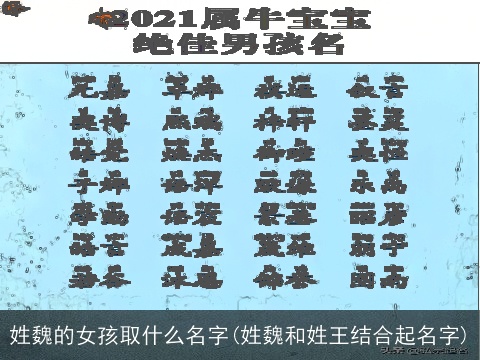 姓魏的女孩取什么名字(姓魏和姓王结合起名字)