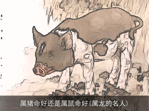 属猪命好还是属鼠命好(属龙的名人)